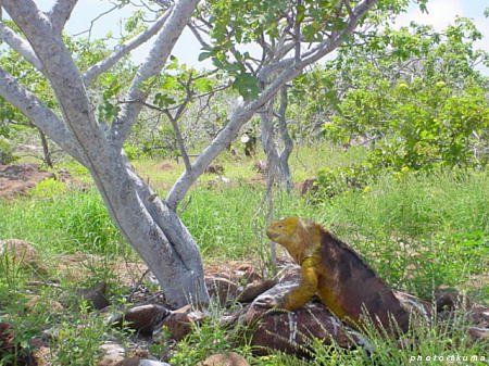 f0050468_11354319.jpg