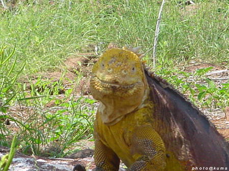 f0050468_1136156.jpg