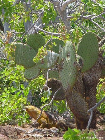 f0050468_11364167.jpg