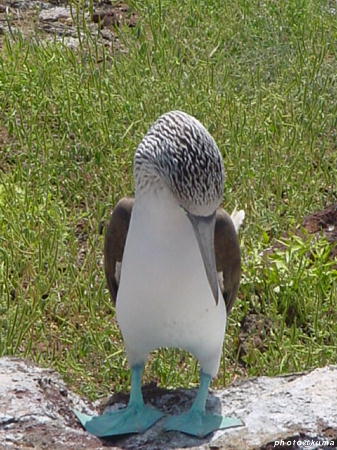 f0050468_1136577.jpg
