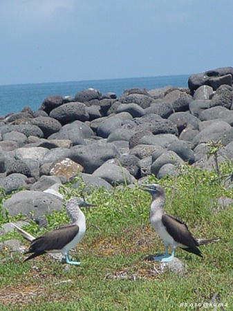f0050468_11371197.jpg