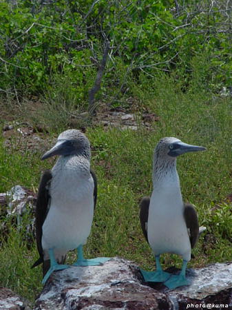 f0050468_11375676.jpg