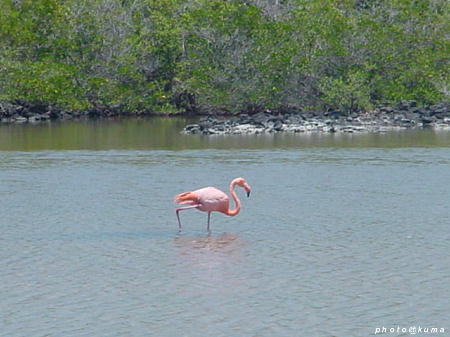 f0050468_11394749.jpg