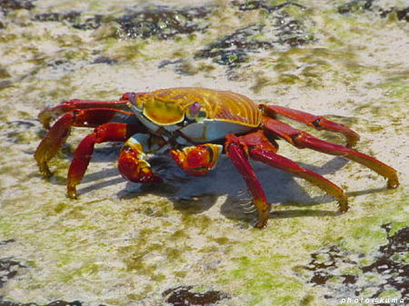 f0050468_1140361.jpg