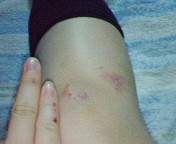 c0006671_205936.jpg