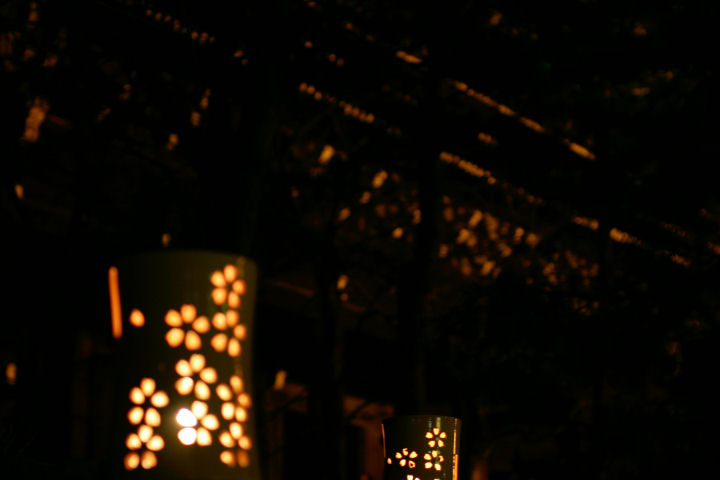d0079373_2339584.jpg