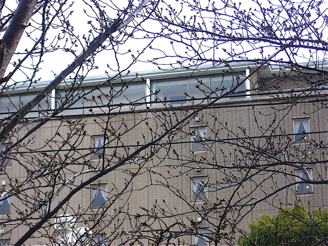 e0018777_2173885.jpg