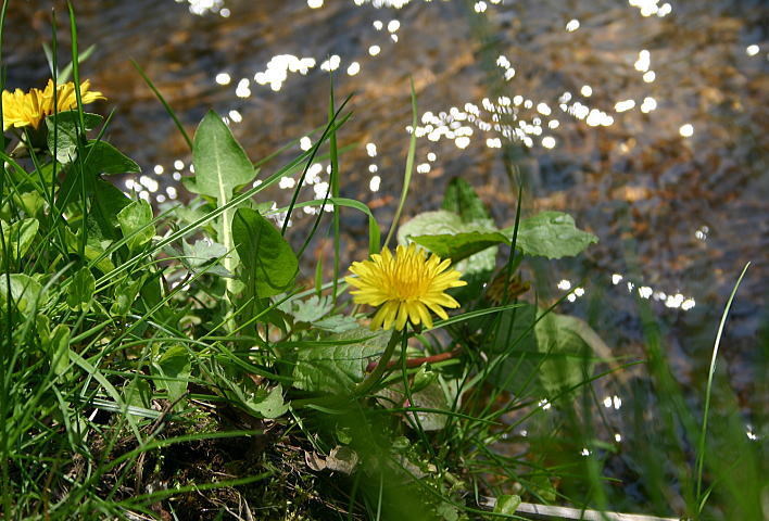 c0112479_7481263.jpg