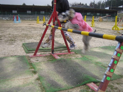 b0074782_16305916.jpg