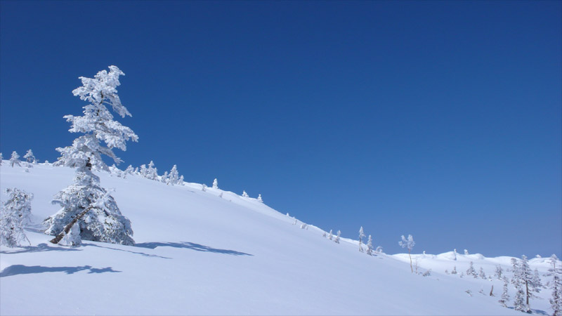 b0046290_1657377.jpg