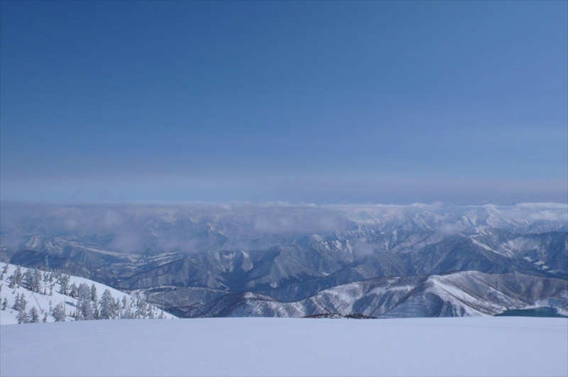 b0046290_16574914.jpg