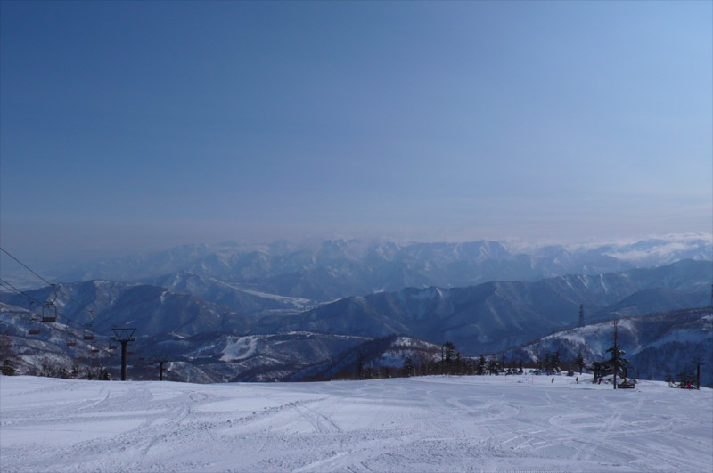 b0046290_1657982.jpg