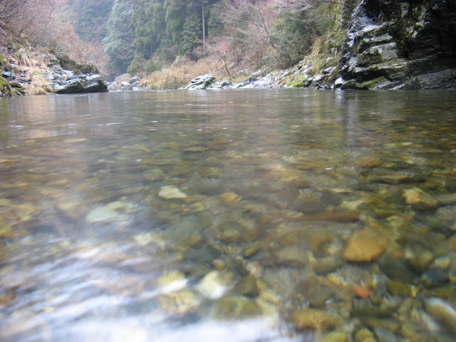 b0092694_21524228.jpg