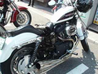 b0013897_1582950.jpg