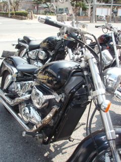 b0013897_1594963.jpg