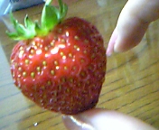 e0025497_0384119.jpg