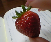 e0025497_03906.jpg