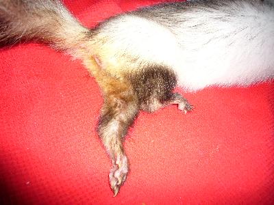 a0018200_9262481.jpg