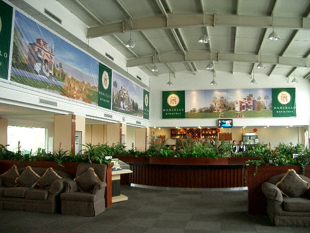 d0090300_20225649.jpg