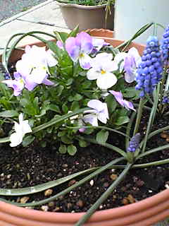 c0103205_22135279.jpg