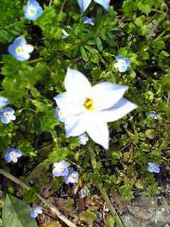 c0103205_2214874.jpg