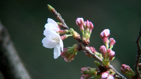 c0047906_23185358.jpg