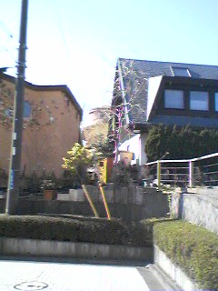 f0049813_9505164.jpg
