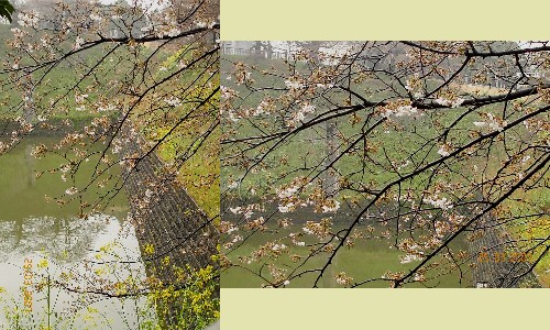 d0002224_22441984.jpg