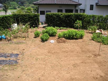 c0109235_22572495.jpg