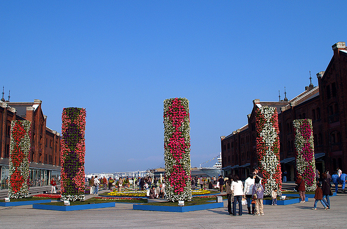 e0072638_16202475.jpg
