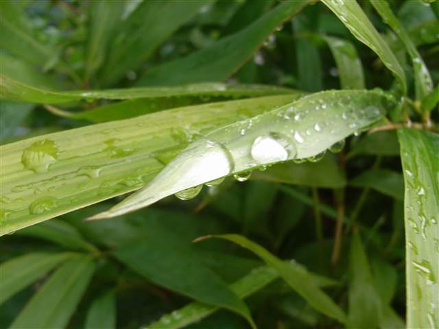 b0102639_23203777.jpg