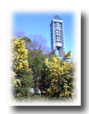 d0048140_215459.jpg