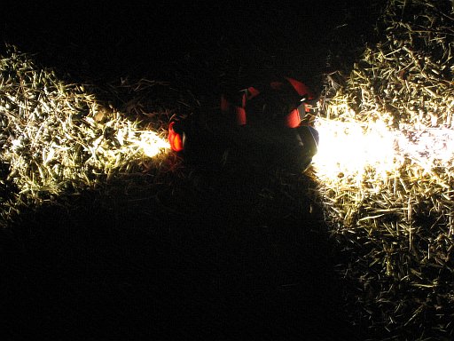 c0024743_155335.jpg