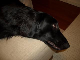 f0107145_10403590.jpg