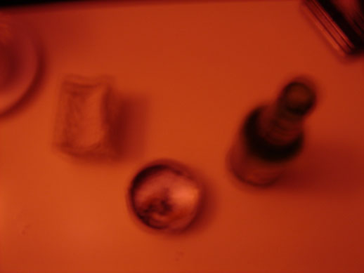 c0080848_1150988.jpg