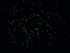e0005548_2132979.gif