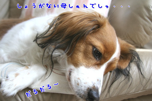 d0013149_0103310.jpg