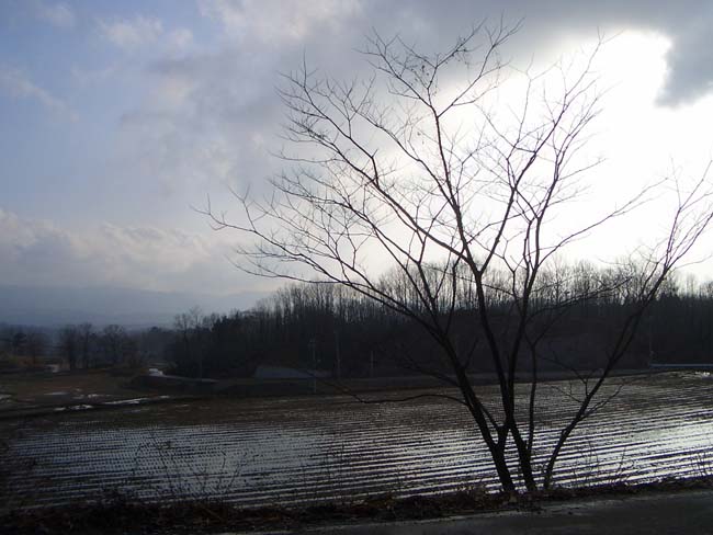 e0002850_20293135.jpg