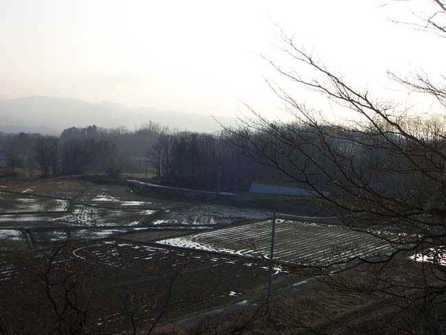 e0002850_2111436.jpg