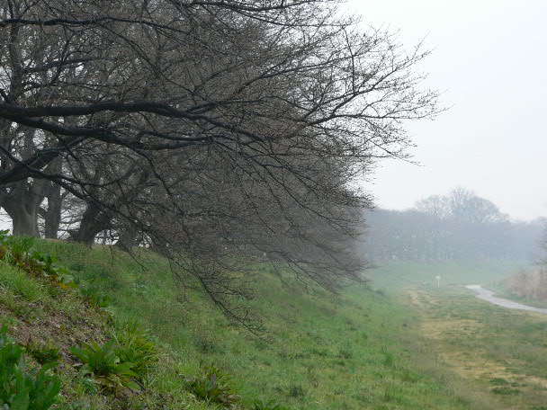 e0017051_22274581.jpg