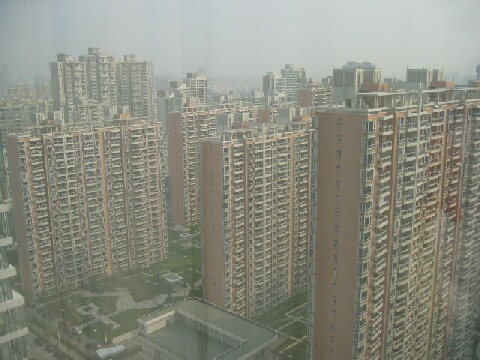 e0020455_7524750.jpg
