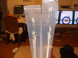 c0002256_20493330.jpg