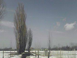 a0004359_22594264.jpg