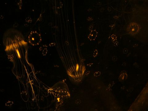 b0015260_1312791.jpg