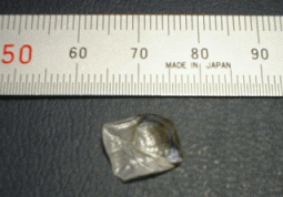a0096669_16302212.gif