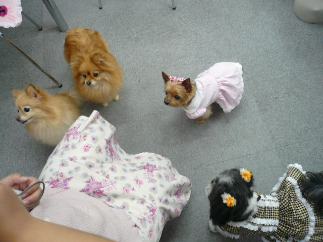 d0104372_059413.jpg