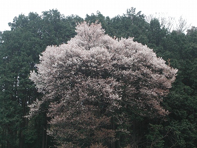 e0002676_17372646.jpg