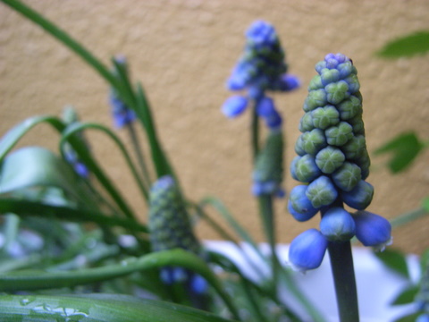 a0043982_18103595.jpg