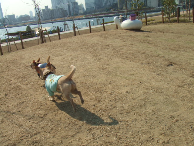 a0067882_17253528.jpg