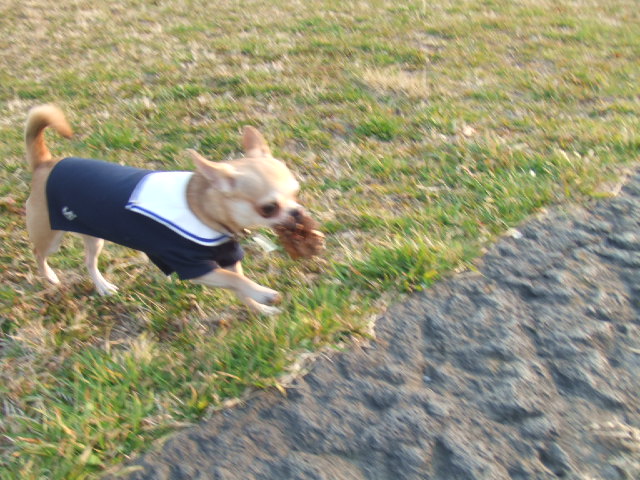 a0067882_17492233.jpg